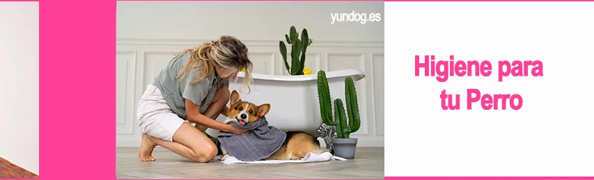 higiene y cuidados para perros