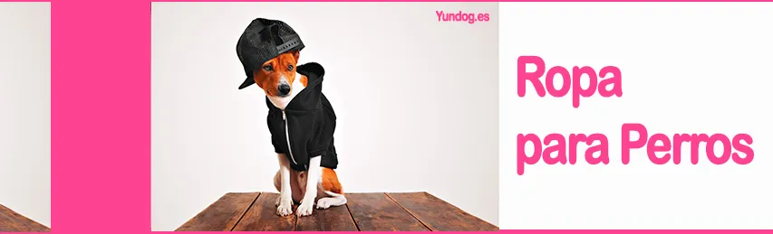 Ropa para perros