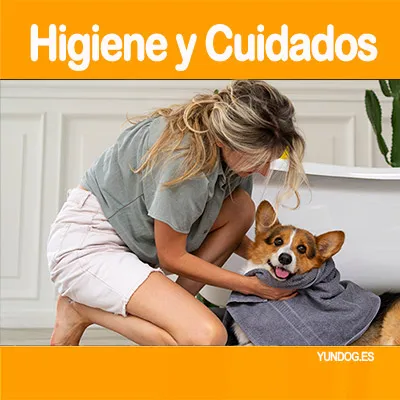 Higiene Para Perro