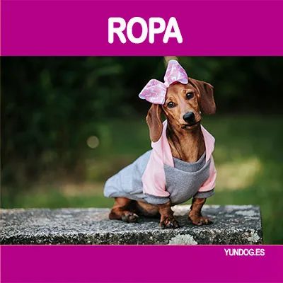 Ropa Para Perro