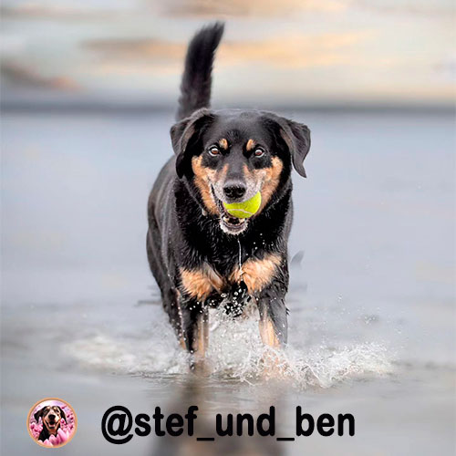 @stef_und_ben